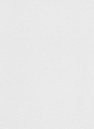 фото Erismann RollOver 5331-10 (5331-01)