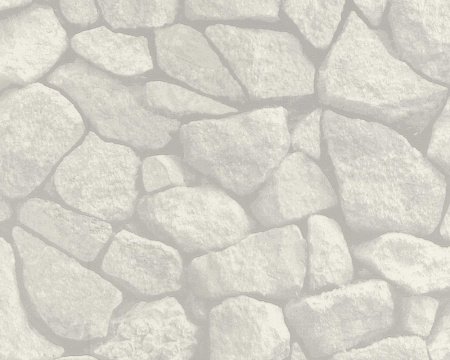 фото A.S.Creation Decora Natur 4 121417