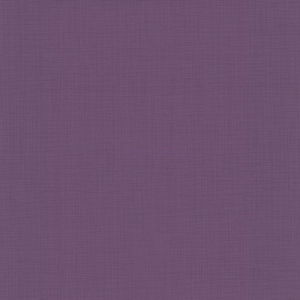 купить P+S International Novara 2 13461-80