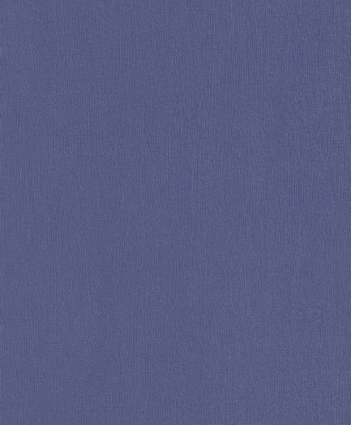 купить Rasch Modern Update 771787