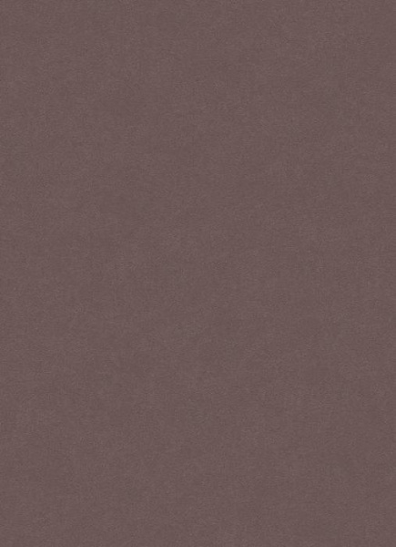 купить Erismann City Glam 5958-37