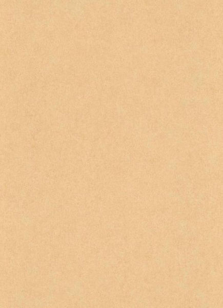 купить Erismann California Dreams 6370-23