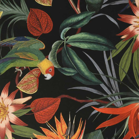 фото Graham & Brown Paradise 108602