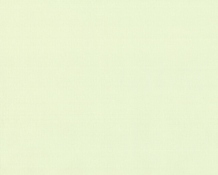 фото A.S.Creation Duetto 850058