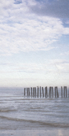 фото Casadeco Fregate FRG2044-60-25