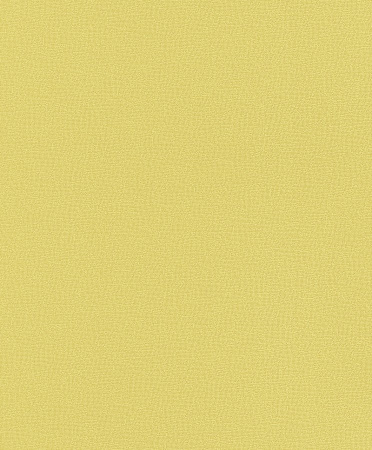 фото Rasch Selection 789126