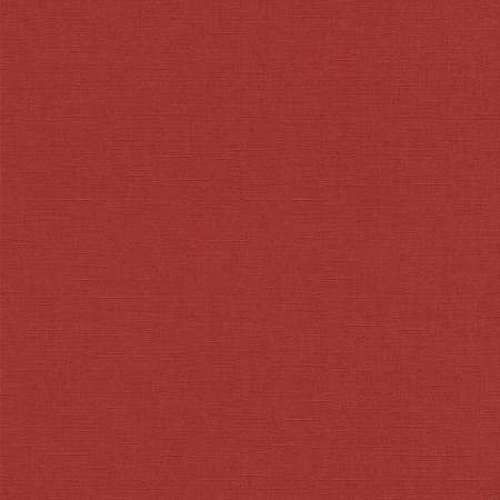 фото P+S International Collage 02505-20