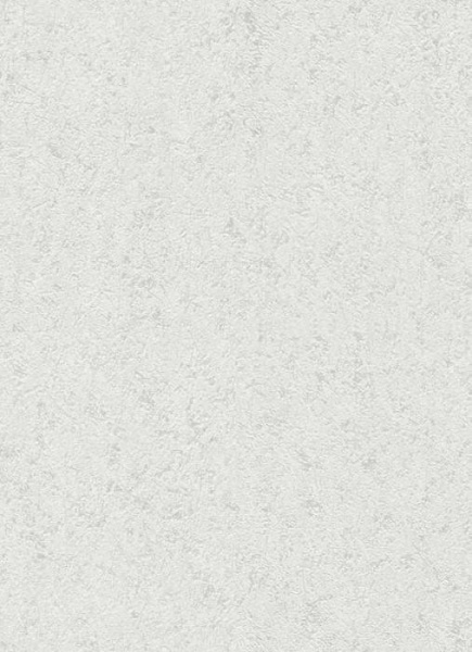 купить Erismann BasiXs 6493-01