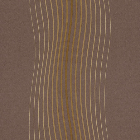 фото Rasch Seduction 2014 796445