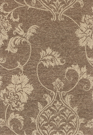 фото Calcutta Pride Pride_3