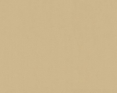 фото A.S.Creation Felicia 966742