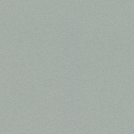 фото Rasch Passepartout 607260