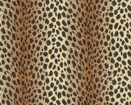 фото A.S.Creation Chicago 935302