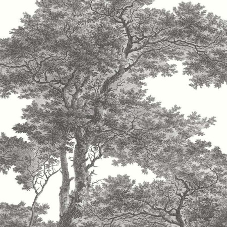 фото Rasch Passepartout 606898