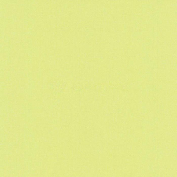 купить P+S International Dieter Bohlen - Dieter 4 Kid'Z 05497-80
