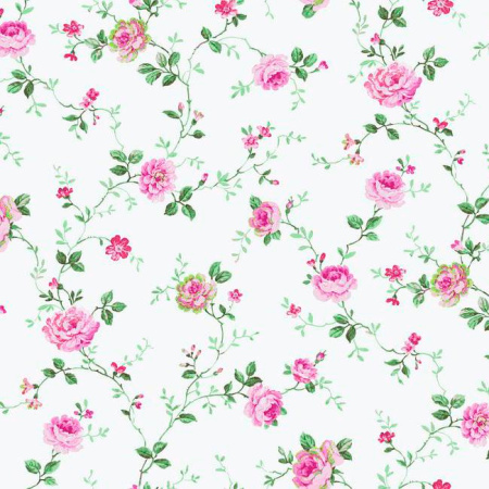 фото York Roses pn0411