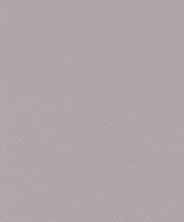 фото Rasch Home Vision VII 739244