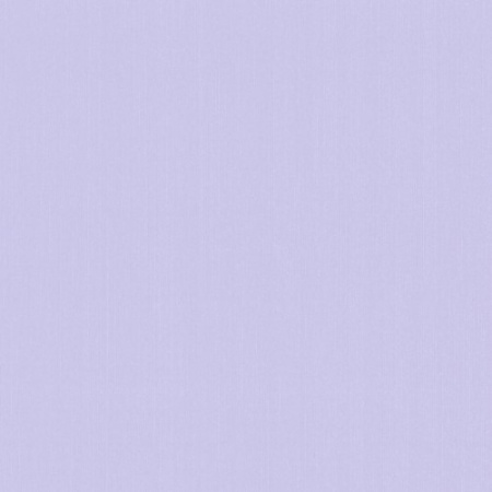 фото P+S International Delight 03882-40