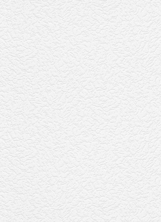 фото Erismann RollOver 5356-10 (5356-01)