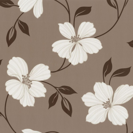 фото P+S International Finesse 05624-30