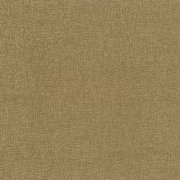 купить P+S International Graphics Alive 13268-50