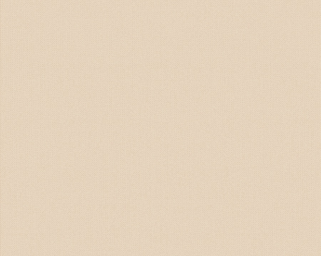 фото A.S.Creation Esprit 6 222442