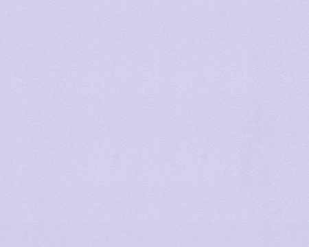 фото A.S.Creation Esprit 8 304834