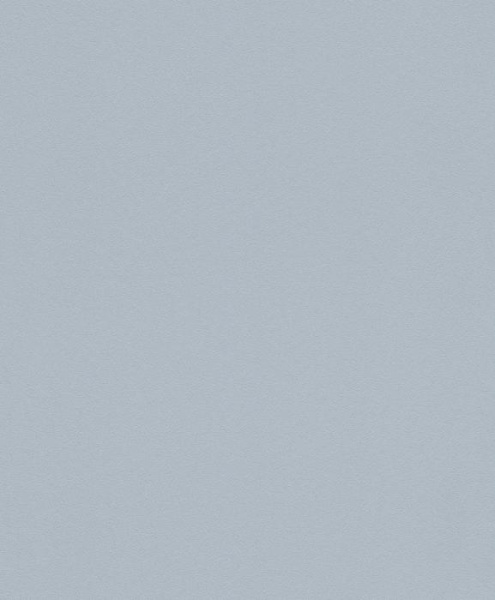 купить Rasch Modern Surfaces 2 610444