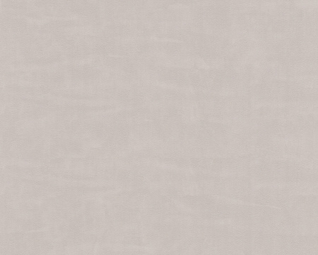 фото A.S.Creation Esprit 8 939159