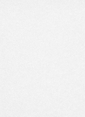 фото Erismann Robusto Vol.2 3912-01