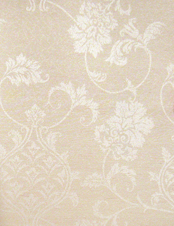 фото Calcutta Pride Pride_Pride309025