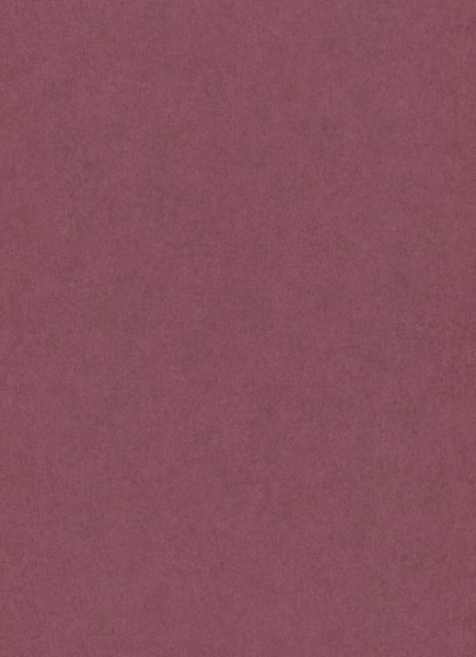 купить Erismann California Dreams 6370-06