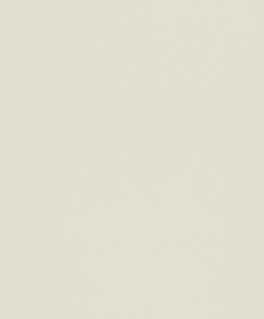 фото Rasch Selection vinyl 517439