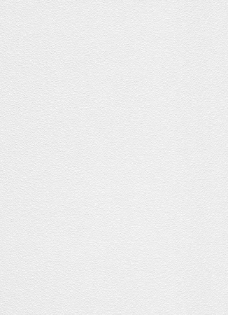 фото Erismann RollOver 3920-10 (3920-01)