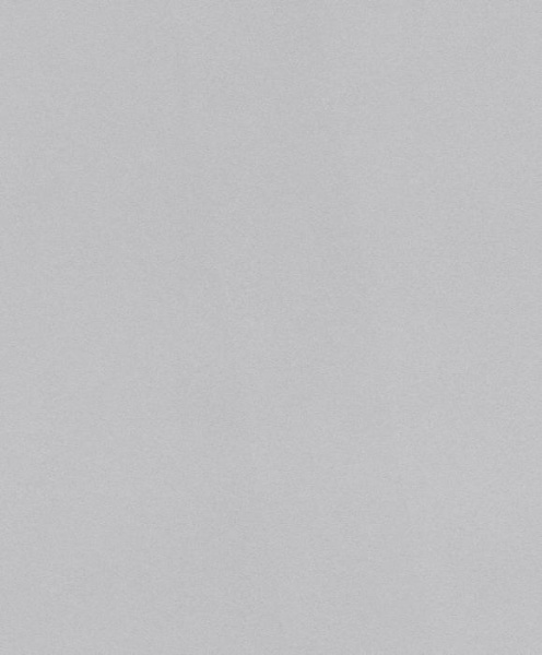 купить Rasch Modern Surfaces 2 604023