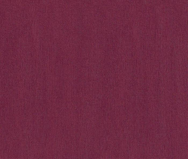 купить Rasch Intuicion 2011 733334