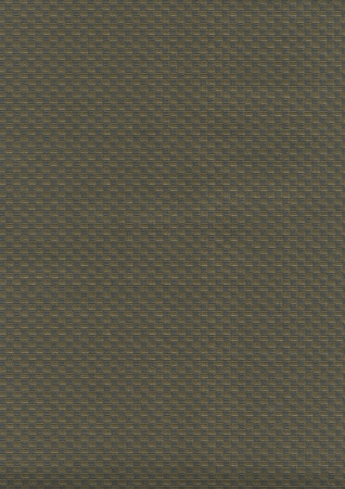 фото Emiliana Parati Future 44088