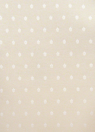 фото Calcutta Pride Pride_Pride309026