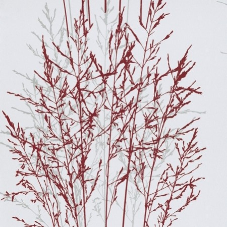 фото Erismann Senses 2013 5722-06