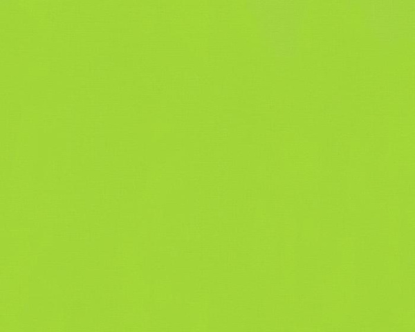 купить A.S.Creation Colour Courage 805614