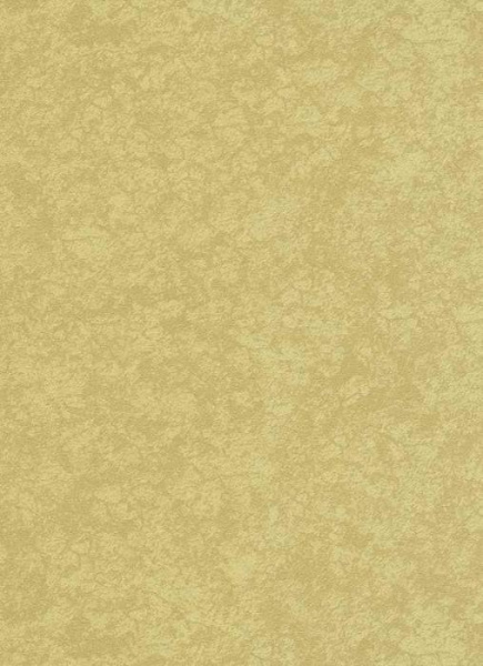 купить Erismann Cassinia 5210-30