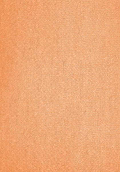 купить Erismann Cordoba 5646-27