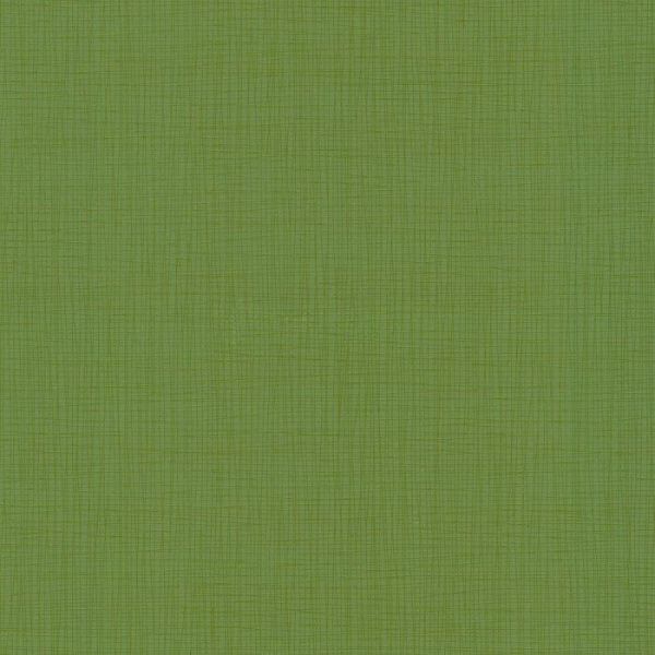 купить P+S International Novara 13094-60