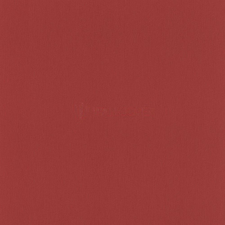 фото Rasch Seduction 2014 796308