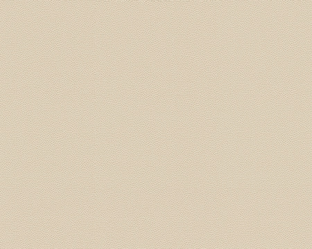 фото A.S.Creation Daniel Hechter 2 286321