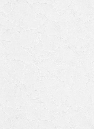 фото Erismann RollOver 5357-10 (5357-01)