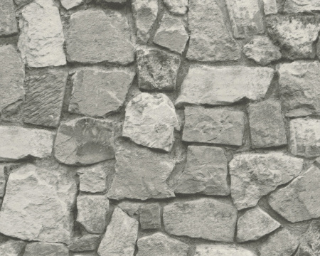 фото A.S.Creation Dekora Natur 5 859525