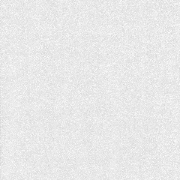 купить P+S International Profiwall 13007-10