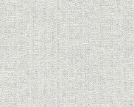 фото A.S.Creation Meistervlies 4 5210-19 / 5211-18