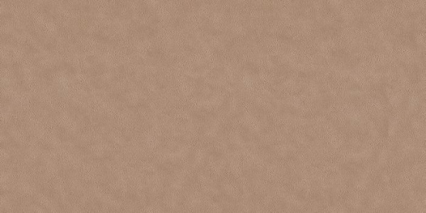 купить A.S.Creation Speranza 956444